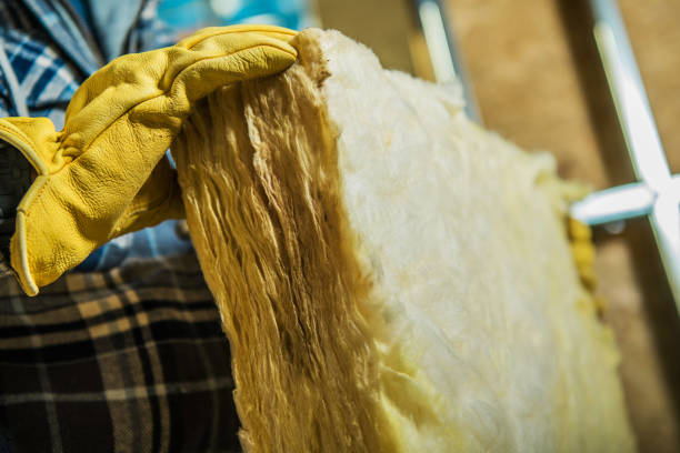 Best Insulation Maintenance and Repair in Forest Hills, TN